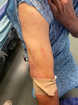 Structure of a PV Cell