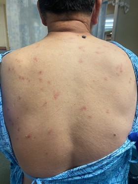 Structure of a PV Cell