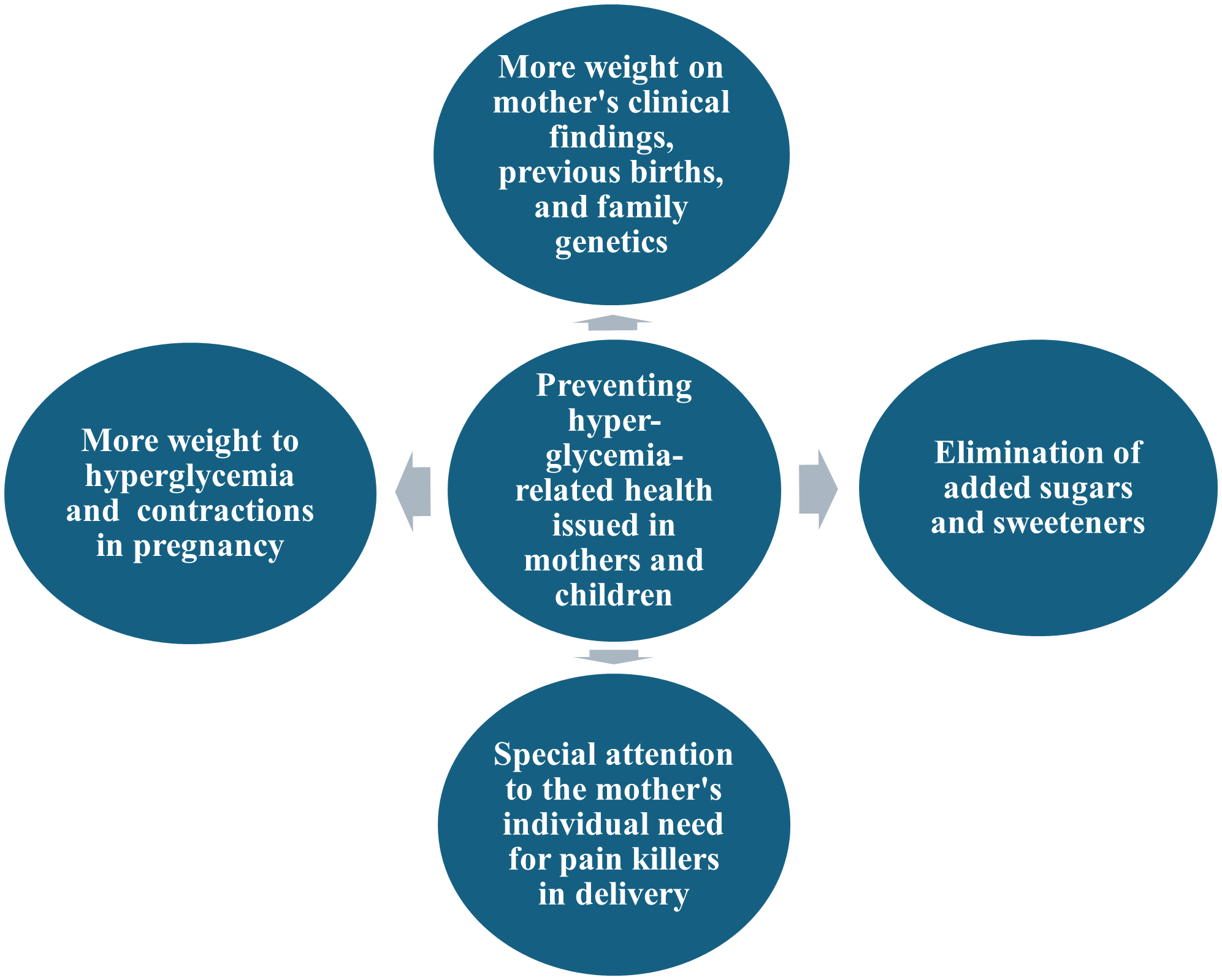 Figure 1. Holistic Approaches for Maternal and Newborn Health